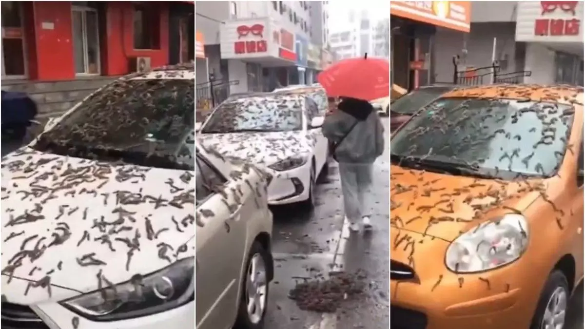 ચીનમાં પડી રહ્યો છે રહસ્યમય વસ્તુઓનો વરસાદ, લોકો જોઈને આશ્ચર્યચકિત થયા..!