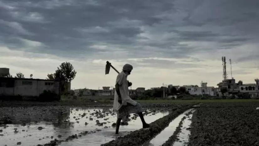 ગુજરાતમાં આગામી 4 દિવસ કમોસમી વરસાદની હવામાન વિભાગની આગાહી, ખેડૂતોમાં ચિંતા