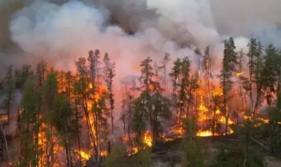 કેનેડાના જંગલમાં લાગેલી આગની અમેરિકામાં પણ અસર, કેવી રીતે કરોડો લોકો લઈ રહ્યા છે ઝેરી શ્વાસ, 5 મુદ્દામાં સમજો...