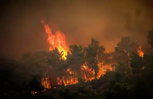 ગ્રીસના જંગલોમાં આગ લાગતા 30 હજાર લોકોનું કરાયું સ્થળાંતર, તાપમાન પહોચ્યું 40 ડિગ્રીને પાર...