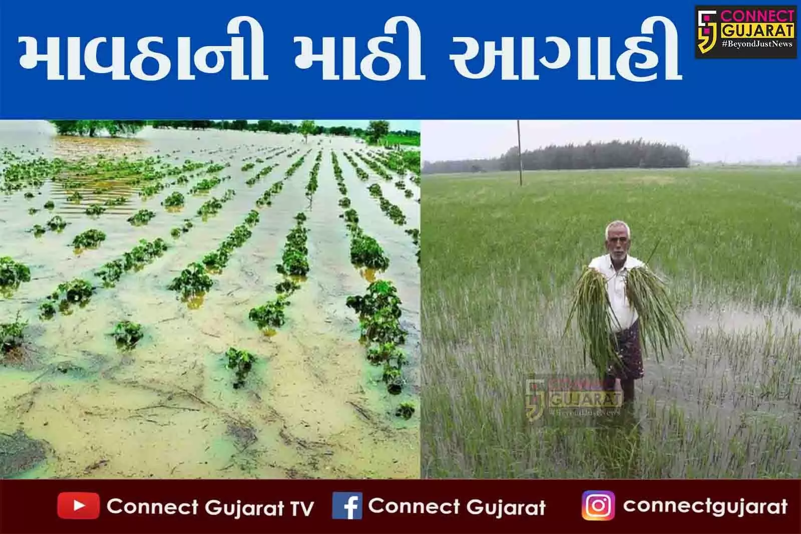 ગુજરાતની માથે ફરી તોળાયા માવઠાના વાદળો, આ જિલ્લામાં આગામી 24 કલાકમાં પડી શકે છે કમોસમી વરસાદ