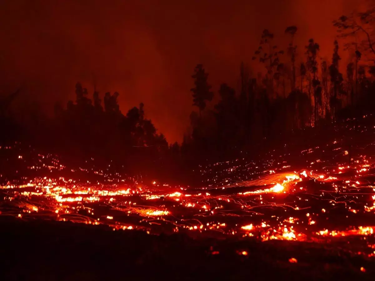 દક્ષિણ અમેરિકાના ચિલીના જંગલમાં લાગેલી આગએ વિકરાળ સ્વરૂપ કર્યું ધારણ, 46 લોકોના મોત