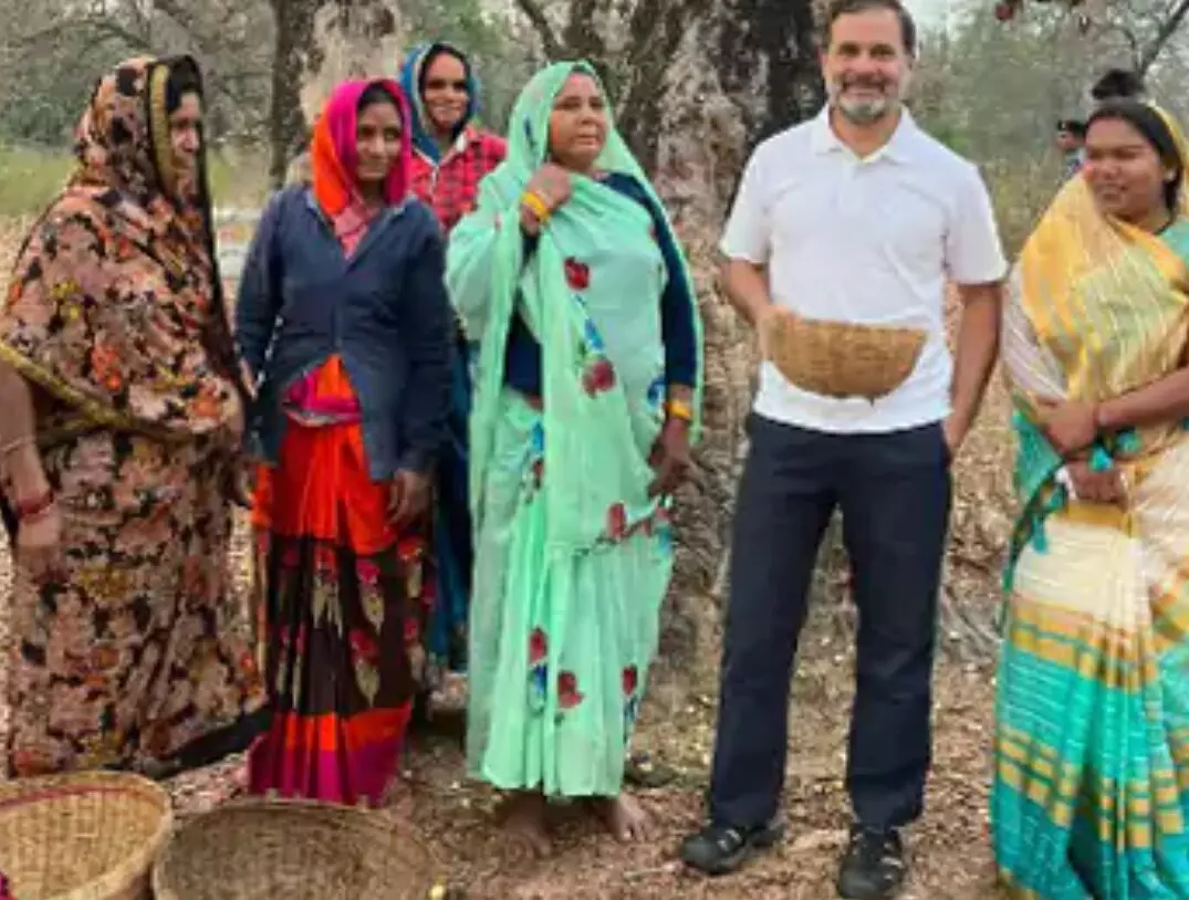 રાહુલ ગાંધીએ મધ્યપ્રદેશમાં મહુડો ચાખ્યો, આદિવાસી મહિલાઓ સાથે વાત કરી