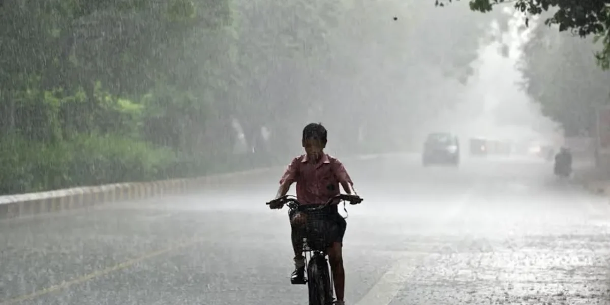 ભરૂચ જિલ્લા માં મેઘમહેર થી ખેતી ને મળ્યું જીવનદાન