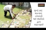 જુઓ ક્યાં ભરૂચમાં તળાવની થઈ સ્થાનિકો દ્વારા સાફ-સફાઈ