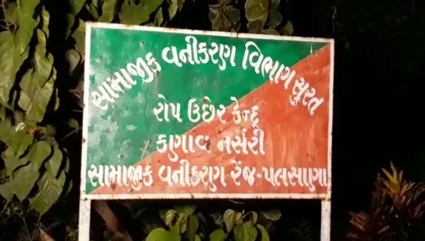 સુરતનાં પલસાણા નજીક આંત્રોલી ગામે રાષ્ટ્રીય પક્ષી મોર સહિત અન્ય પક્ષીઓનાં મોત