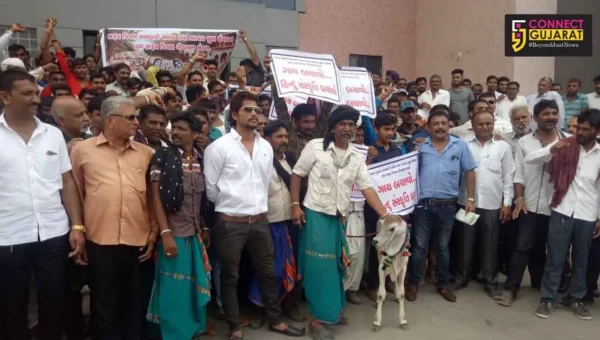 ભરૂચ: ગૌચરમાં થઈ રહેલા દબાણો દૂર કરવા માલધારી સમાજની માંગ