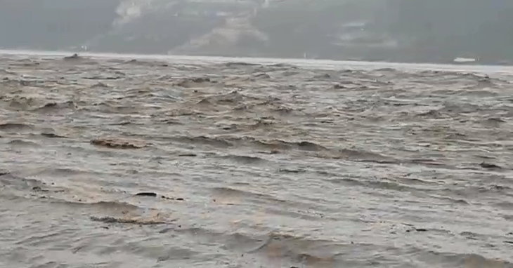 નર્મદા-છોટાઉદેપુરમાં ભારે વરસાદથી ઓરસંગ નદીમાં ઘોડાપુર, નર્મદા નદી બે કાંઠે
