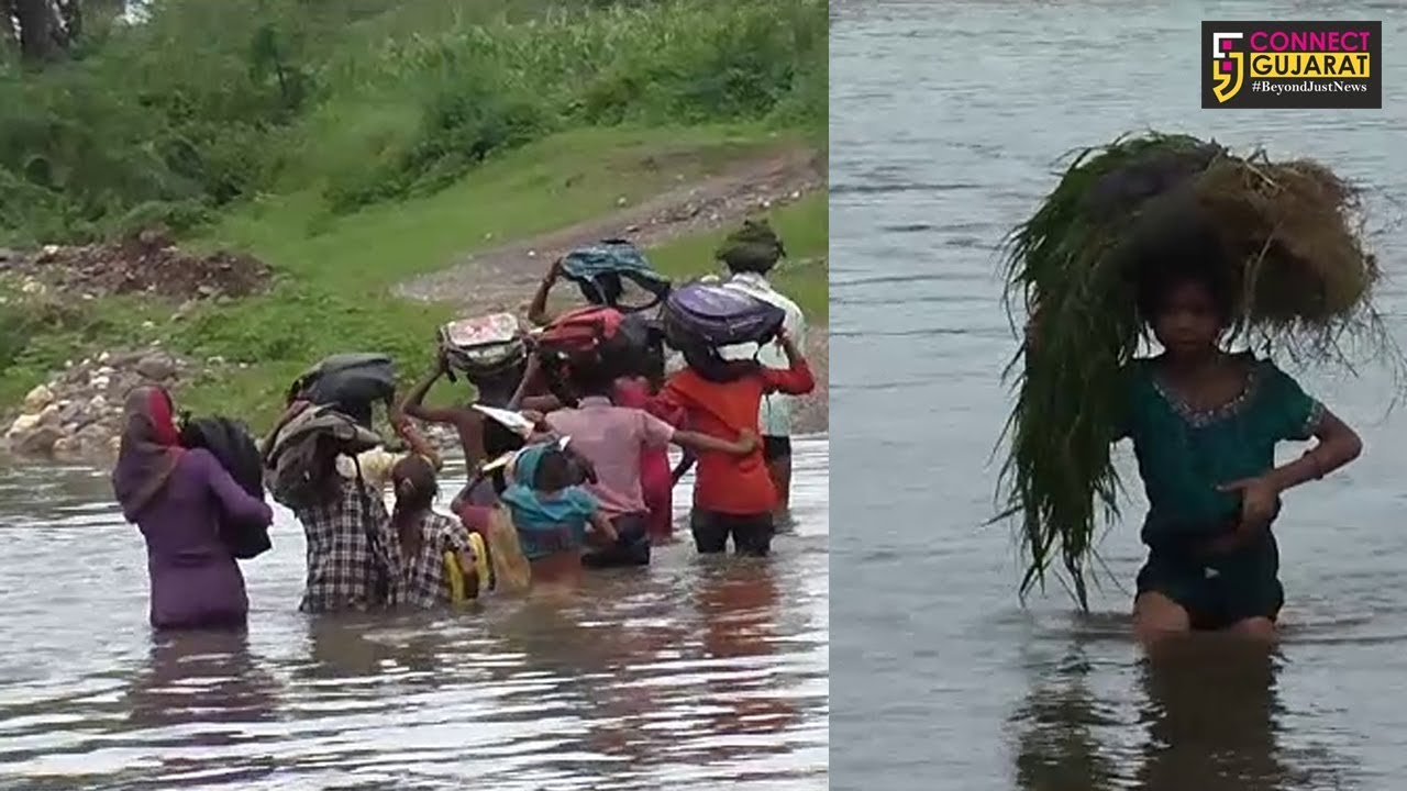 દાહોદ : કઠલા ગામે નદીમાંથી જીવના જોખમે અભ્યાસ માટે જતાં વિદ્યાર્થીઓ