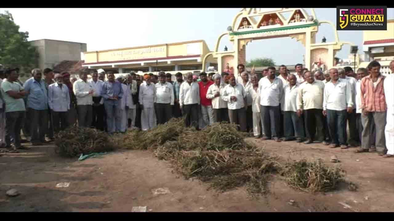 જામનગર : “નિષ્ફળ પાકની હોળી”, સરકાર વિરુદ્ધ ખેડૂતોએ નોંધાવ્યો વિરોધ