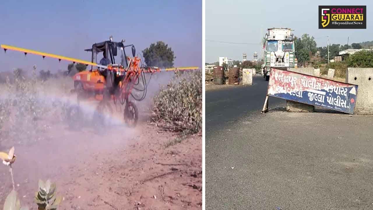 ઉત્તર ગુજરાતમાં તીડોના આક્રમણે “સરકાર”ને કરી દોડતી, મંત્રીઓ પહોંચ્યાં ખેતરોમાં