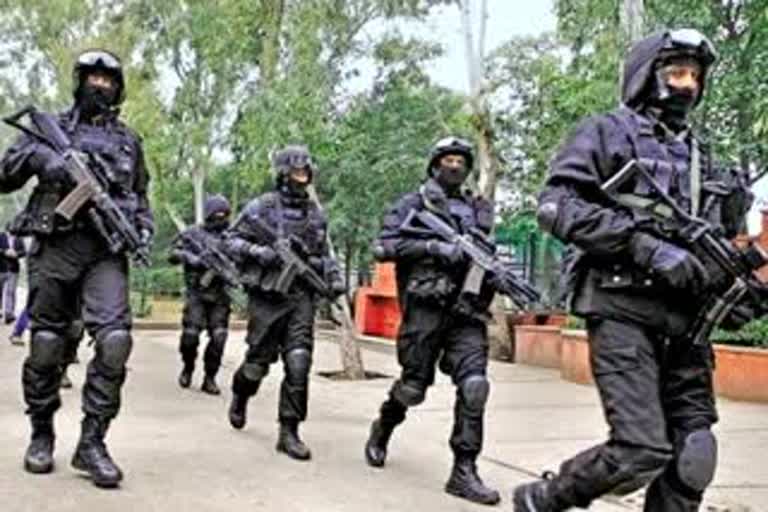 જયપુરમાં પોલીસ લાઈનમાં તૈનાત 4 કમાન્ડો કોરોના પોઝિટિવ