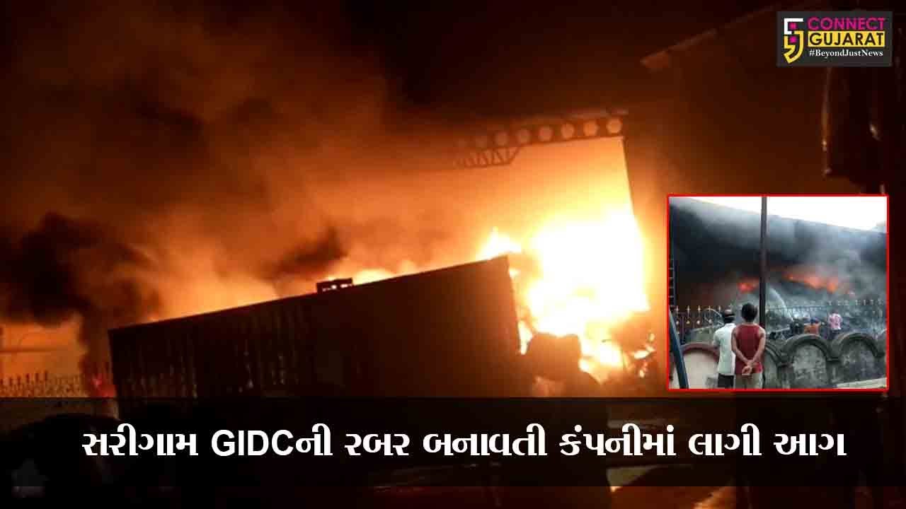 વલસાડ : સરીગામ GIDCમાં રબર બનાવતી કંપનીમાં લાગી ભીષણ આગ, ફાયર વિભાગ દોડ્યું