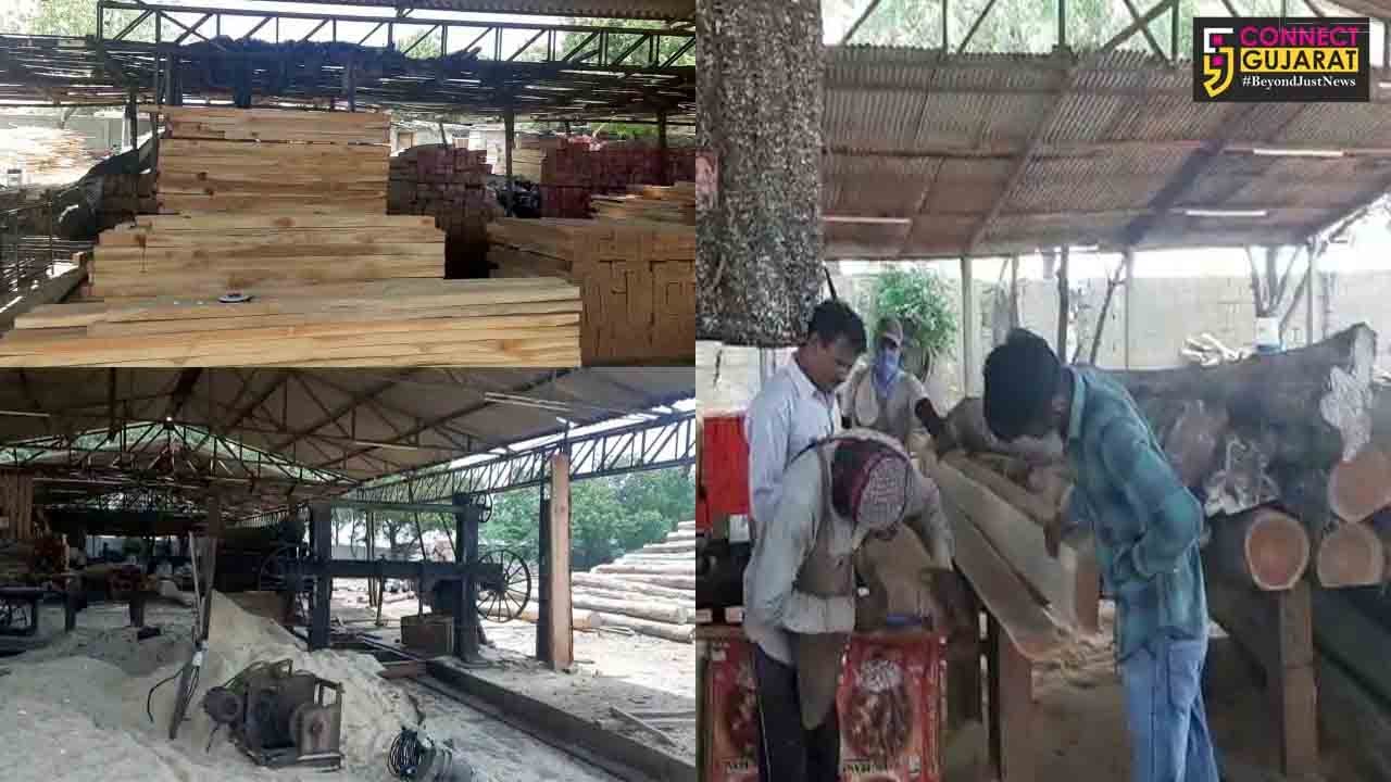 ગાંધીધામ પંથકમાં સ્થાપિત ટીમ્બર ઉદ્યોગને કરોડોનું નુકશાન