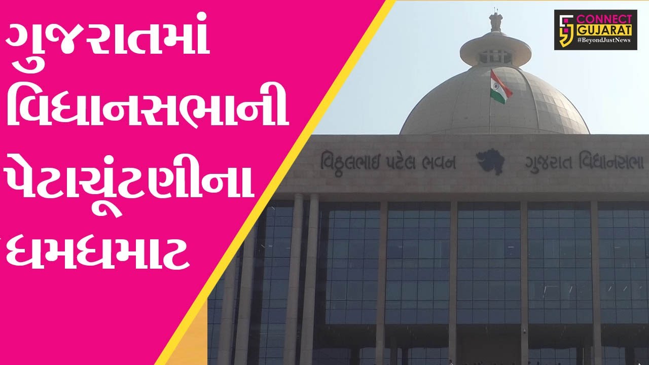 ગુજરાત : ધારી, કરજણ અને અબડાસાના ભાજપના ઉમેદવારોએ ઉમેદવારી પત્ર ભરી જીતનો વિશ્વાસ વ્યક્ત કર્યો