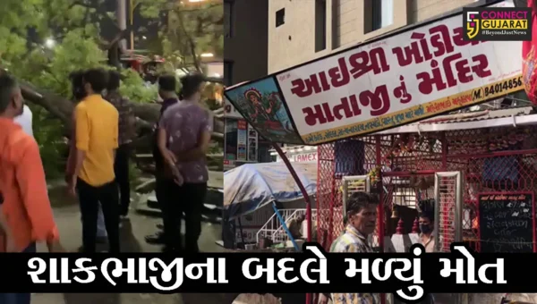 અમદાવાદ : મણીનગરમાં BRTSના સ્ટેન્ડ પાસે વૃક્ષ ધરાશાયી, કાંકરીયાની વૃધ્ધાનું મોત