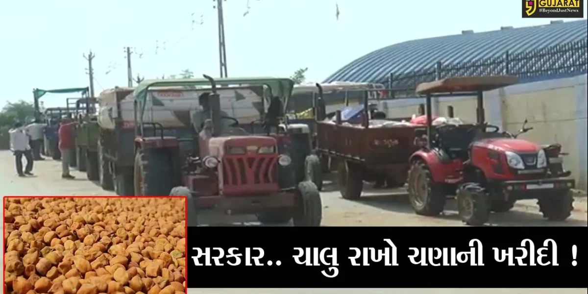 સાબરકાંઠા: ટેકાના ભાવે ચણાની ખરીદીનો આજે અંતિમ દિવસ, સમય મર્યાદા વધારવા માંગ, જુઓ શું છે કારણ