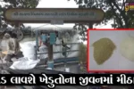 સુરત : દક્ષિણ ગુજરાતની સુગર મિલોમાં બ્રાઉન સુગરનું ઉત્પાદન શરૂ, જુઓ ખાંડનું વિદેશ કનેકશન