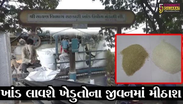 સુરત : દક્ષિણ ગુજરાતની સુગર મિલોમાં બ્રાઉન સુગરનું ઉત્પાદન શરૂ, જુઓ ખાંડનું વિદેશ કનેકશન