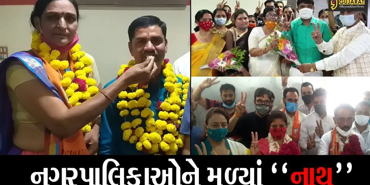 ભરૂચ : જિલ્લાની ચાર નગરપાલિકાઓમાં નવા હોદ્દેદારોની વરણી, જુઓ કોને મળ્યું પ્રમુખપદ
