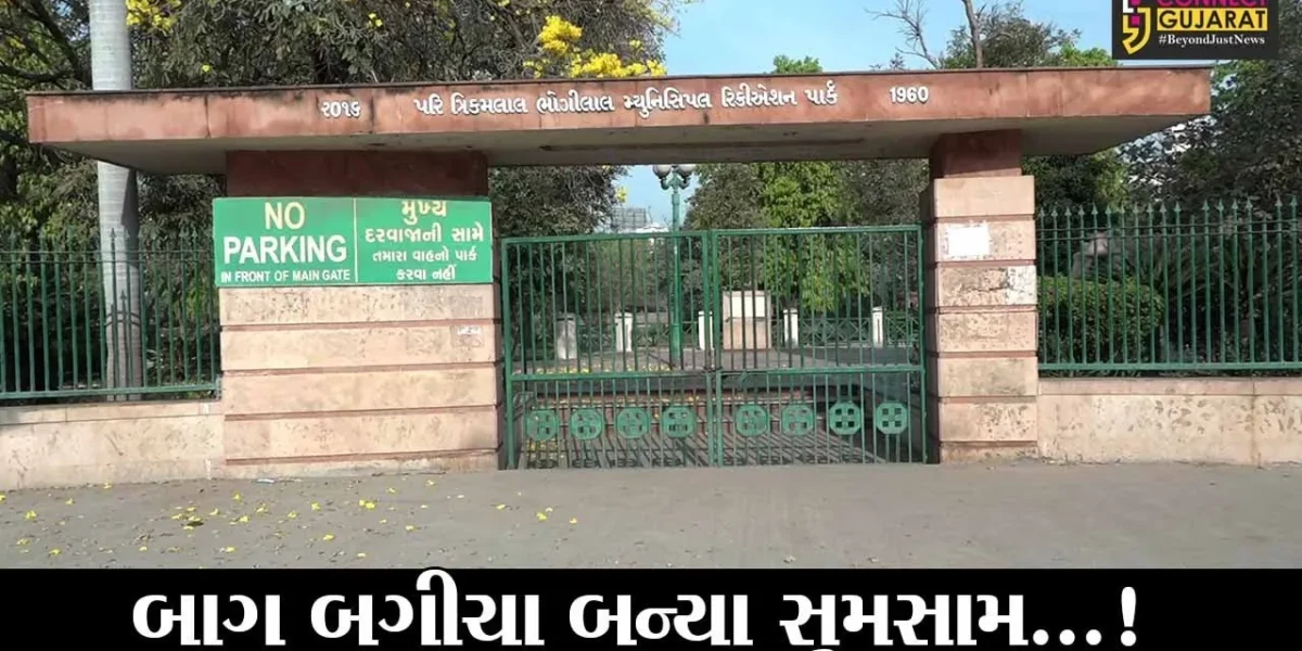 અમદાવાદ : ગાર્ડન અને ઝૂ ને તાળાબંધી, વેપારીઓની આપવીતી ગુજરાન કેવી રીતે ચલાવવું?