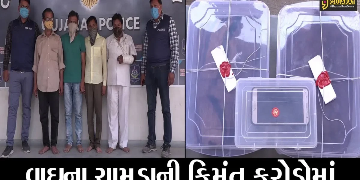 અમદાવાદ : વાઘનું ચામડું વેચવા નીકળેલા ચાર ઇસમો પોલીસના હાથે ઝડપાયાં, ક્રાઇમ બ્રાંચનું ઓપરેશન