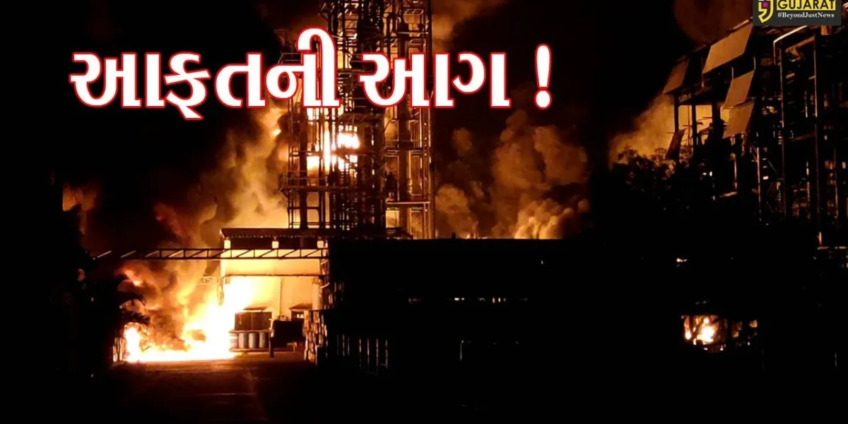 વડોદરા: શિવમ પેટ્રોકેમિકલ કંપનીમાં ભિષણ આગ,6 કામદાર દાઝ્યા,જુઓ આગના દ્રશ્યો
