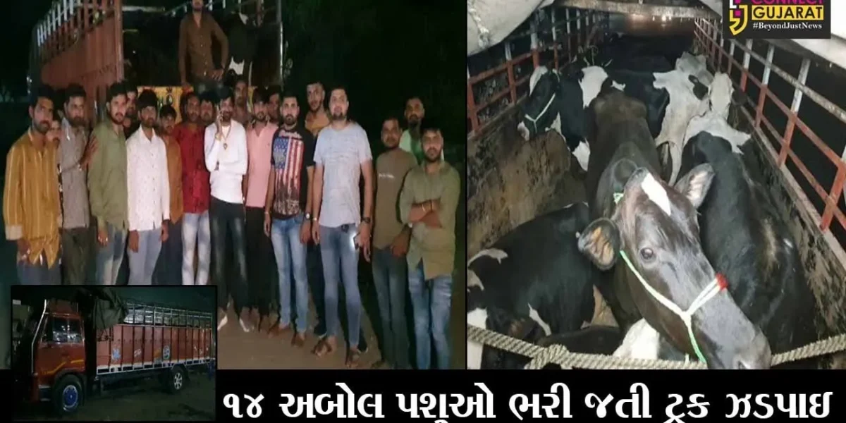 ખેડા : લુધિયાણાથી મહારાષ્ટ્ર કતલખાને લઈ જવાતા પશુઓનો જીવ બચાવતા ગૌરક્ષકો