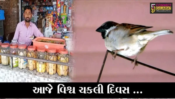 ગીરસોમનાથ : વેરાવળના દેદાના યુવાનનો ચકલી પ્રેમ, દુકાનમાં જ બનાવી દીધું ચકલીઘર