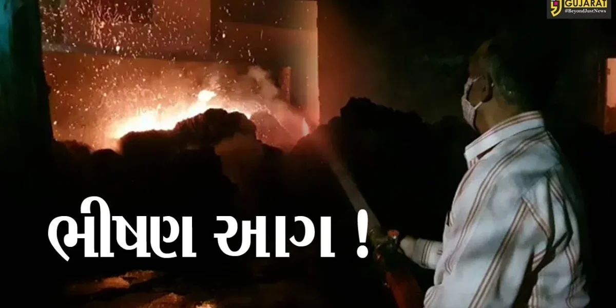 નડિયાદ: બારદાનના ગોડાઉનમાં ભીષણ આગ; અફરાતફરીનો માહોલ, જુઓ વિડીયો