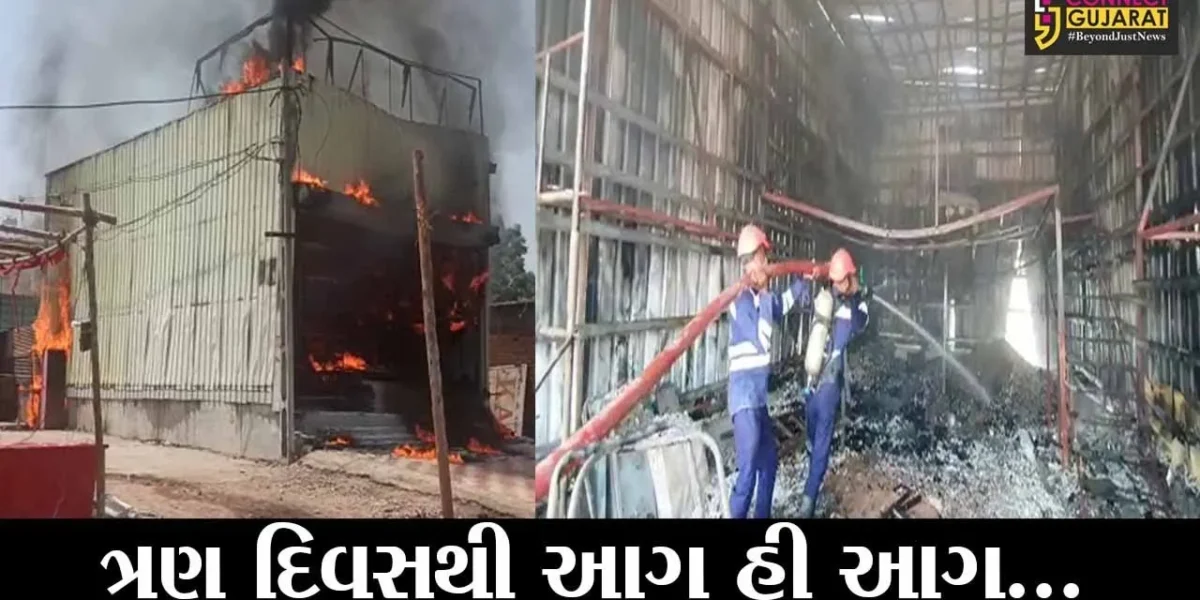 વડોદરા : ખોડીયારનગરમાં પ્લાયવુડના ગોડાઉનમાં ભીષણ આગ, ત્રણ દિવસમાં આગના 3 બનાવ