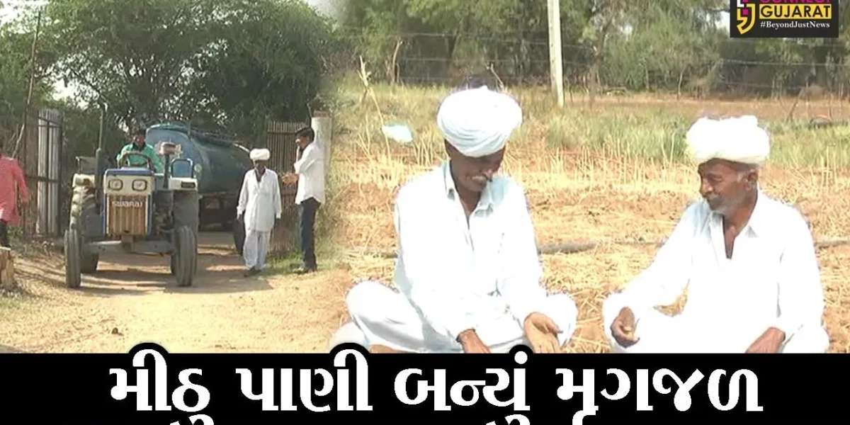 બનાસકાંઠા : ઝેરડા ગામમાં પાણી માટે ઝઝુમતાં લોકો, સિંચાઇની સાથે પીવાના પાણીના વલખાં