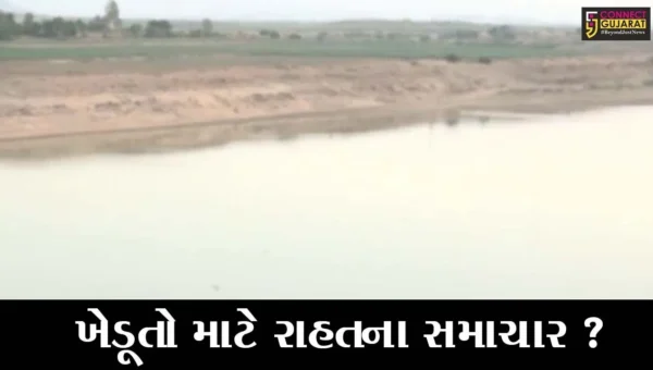 કરછ: ઉનાળામાં પણ ખેડૂતોને સિંચાઇ માટેનું પાણી મળી રહેશે? જુઓ ડેમોમાં કેટલા ટકા છે પાણી