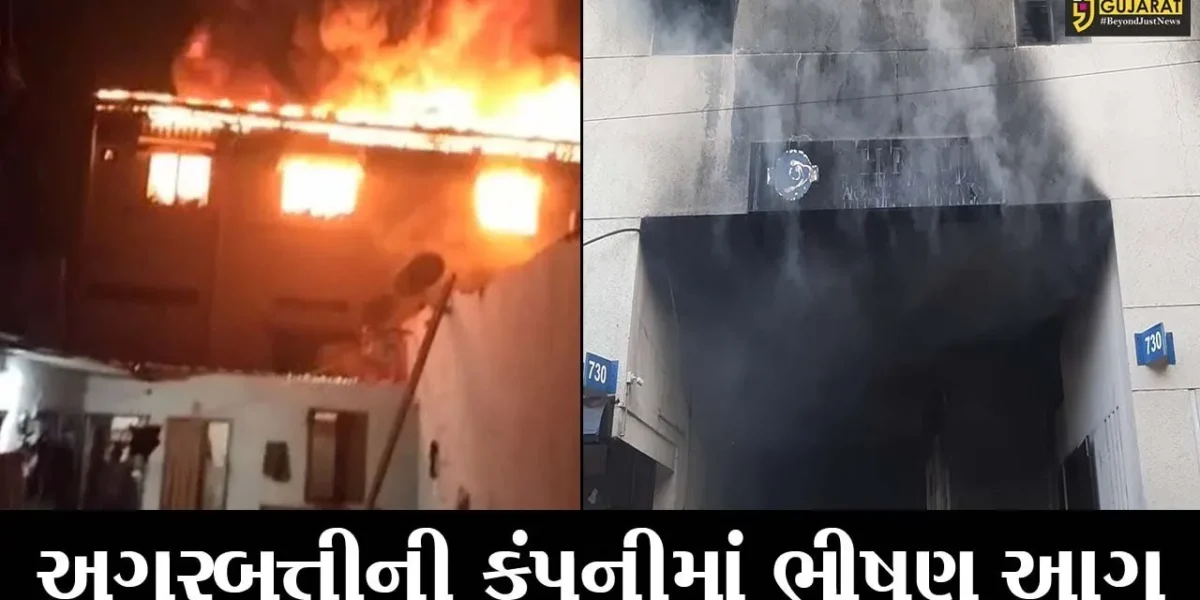 વડોદરા : મકરપુરા GIDCમાં અગરબત્તીની ફેકટરી ભડકે બળી, 10 કલાક બાદ પણ આગ બેકાબુ