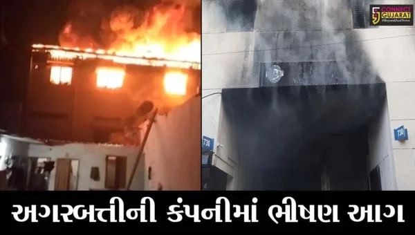 વડોદરા : મકરપુરા GIDCમાં અગરબત્તીની ફેકટરી ભડકે બળી, 10 કલાક બાદ પણ આગ બેકાબુ