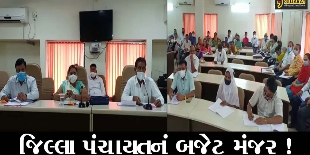 ભરૂચ: જિલ્લા પંચાયતની સામાન્ય સભા મળી, જુઓ કેટલા રૂપિયાની પુરાંતવાળા બજેટને અપાય મંજૂરી