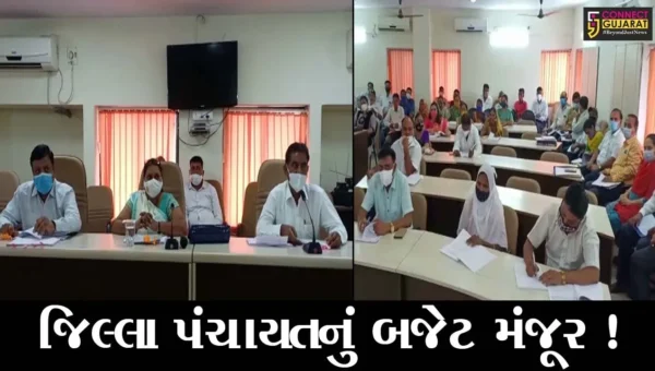 ભરૂચ: જિલ્લા પંચાયતની સામાન્ય સભા મળી, જુઓ કેટલા રૂપિયાની પુરાંતવાળા બજેટને અપાય મંજૂરી
