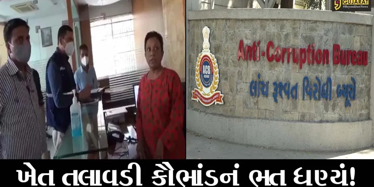અમદાવાદ: ખેત તલાવડી કૌભાંડમાં બે ચાર્ટડ એકાઉન્ટન્ટની ધરપકડ, જુઓ છે આરોપ