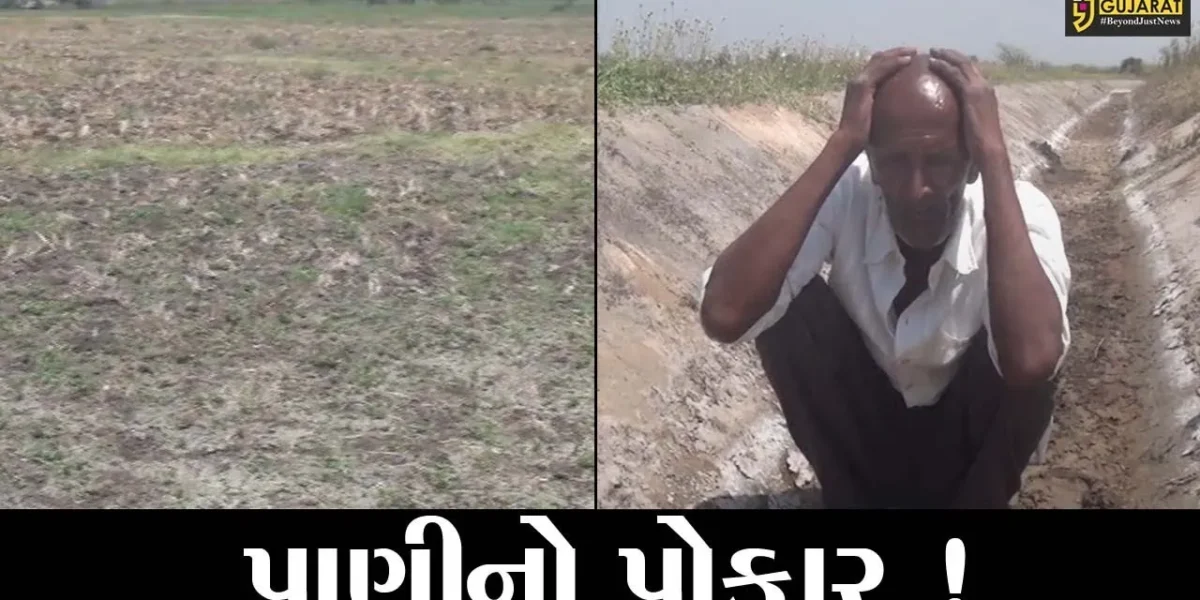 સુરત : ઓલપાડ તાલુકાના ખેડૂતોને સિંચાઈના રોટેશન શરૂ થયાના 25 દિવસે પણ પાણી ન મળતાં રોષ, જુઓ શું કહ્યું ધરતીના તાતે