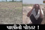 સુરત : ઓલપાડ તાલુકાના ખેડૂતોને સિંચાઈના રોટેશન શરૂ થયાના 25 દિવસે પણ પાણી ન મળતાં રોષ, જુઓ શું કહ્યું ધરતીના તાતે