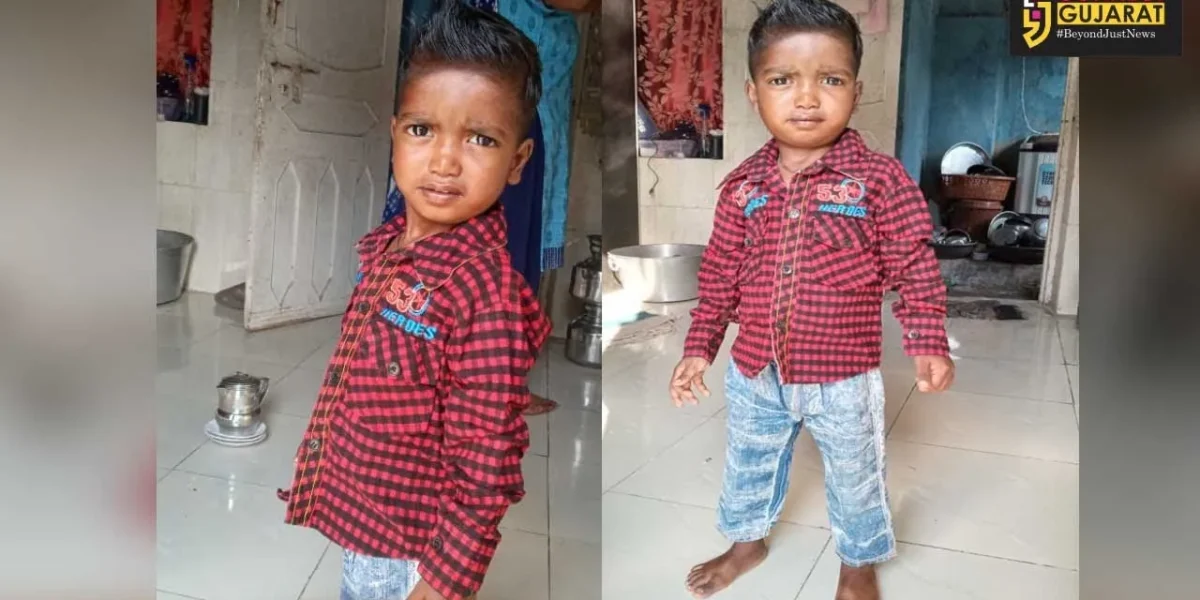 ભરૂચ: નબીપુરમાં શ્વાનોના હુમલામાં 3 વર્ષીય માસૂમનું મોત