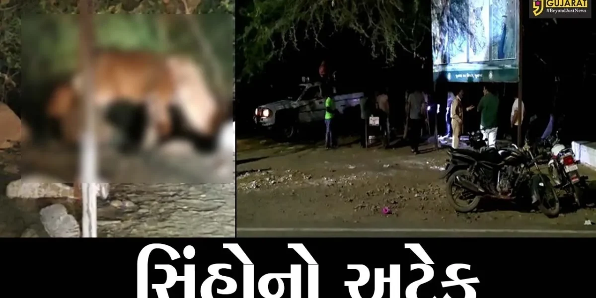 જુનાગઢ : ભવનાથમાં સિંહોએ મારણ કરી મિજબાની માણી, લોકટોળાએ લાઈવ દ્રશ્યો નિહાળ્યા