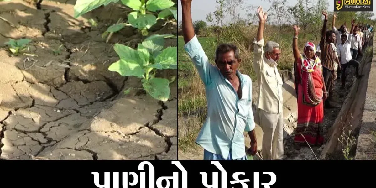 છોટાઉદેપુર: ચામેઠા પાસે નર્મદા માઈનોર કેનાલમાં સિંચાઇનું પાણી ન મળતા ખેડૂતોમાં નિરાશા