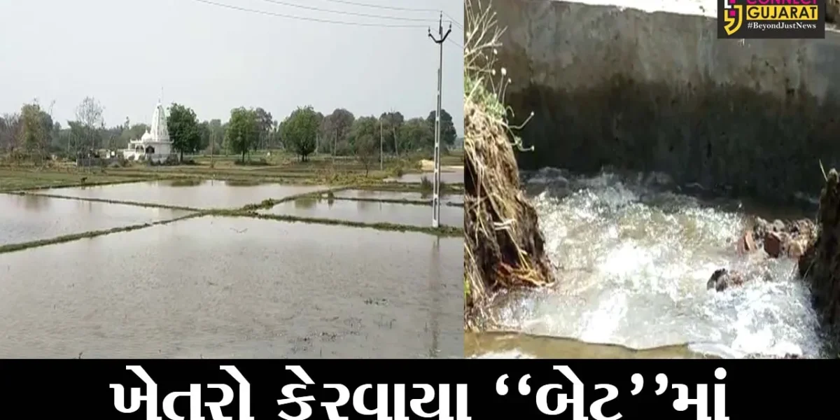 મહીસાગર: લુણાવાડામાં નપાણીયાની સબ માઇનોર કેનાલ ઓવરફ્લો થતાં ખેતરોમાં પાણી ફરી વળ્યા