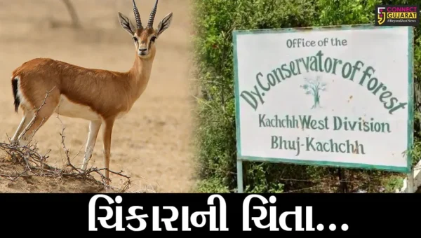 કચ્છ : નારાયણ સરોવર સેન્ચ્યુરીમાં ઉનાળો બન્યો આકરો, જુઓ ચિંકારાઓ માટે શું કરાય વ્યવસ્થા ?