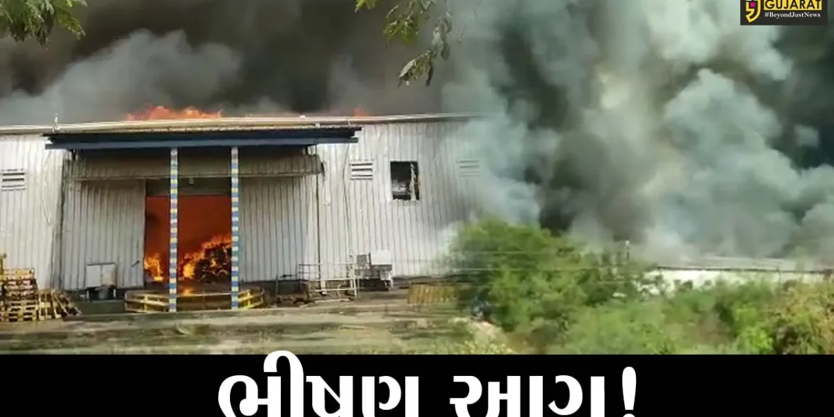 ભરૂચ: ઝઘડિયાની વાયલાઈન વર્ક્સ કંપનીમાં ભીષણ આગ, ધુમાડાના ગોટેગોટાથી ફફડાટ