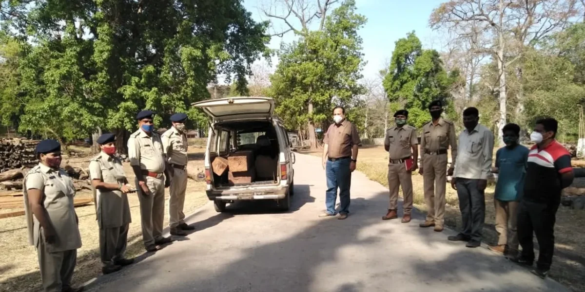 ડાંગ : કોયલીપાડા જંગલ વિસ્તારમાંથી વન વિભાગની ટીમે ગેરકાયદેસર લઇ જવાતો સાગી લાકડાનો જથ્થો ઝડપી પાડ્યો