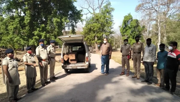 ડાંગ : કોયલીપાડા જંગલ વિસ્તારમાંથી વન વિભાગની ટીમે ગેરકાયદેસર લઇ જવાતો સાગી લાકડાનો જથ્થો ઝડપી પાડ્યો