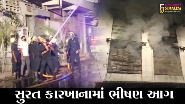 સુરત : ઉધનામાં ઇલેકટ્રીક સ્વીચ બનાવતાં કારખાનામાં ભીષણ આગ