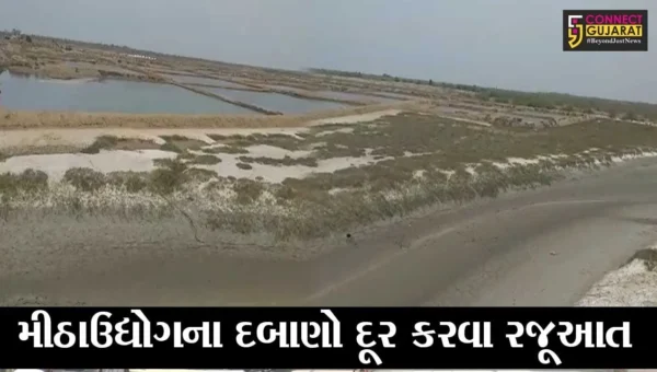ભરૂચ : જંબુસર ઇસ્લામપુર ખાડીના મીઠા ઉદ્યોગના દબાણો દૂર કરવા ધારાસભ્યને રજૂઆત